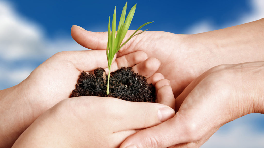 Fertility program