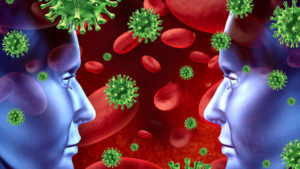 Immune system
