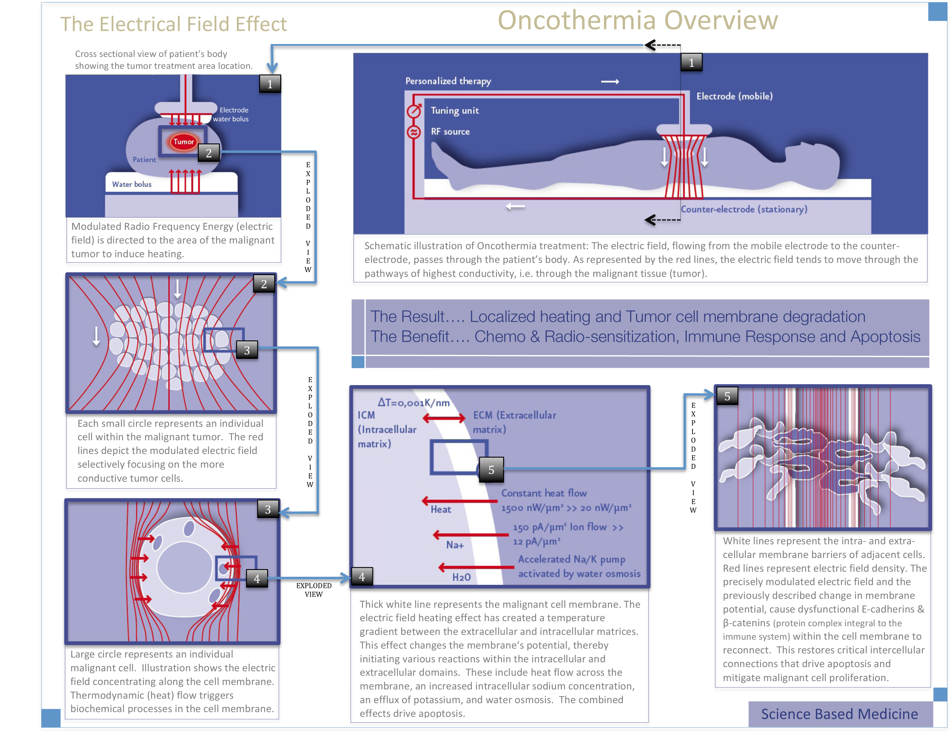 LRHT Treatment Overview