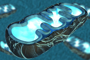 Dichloroacetate (DCA) for Cancer Care