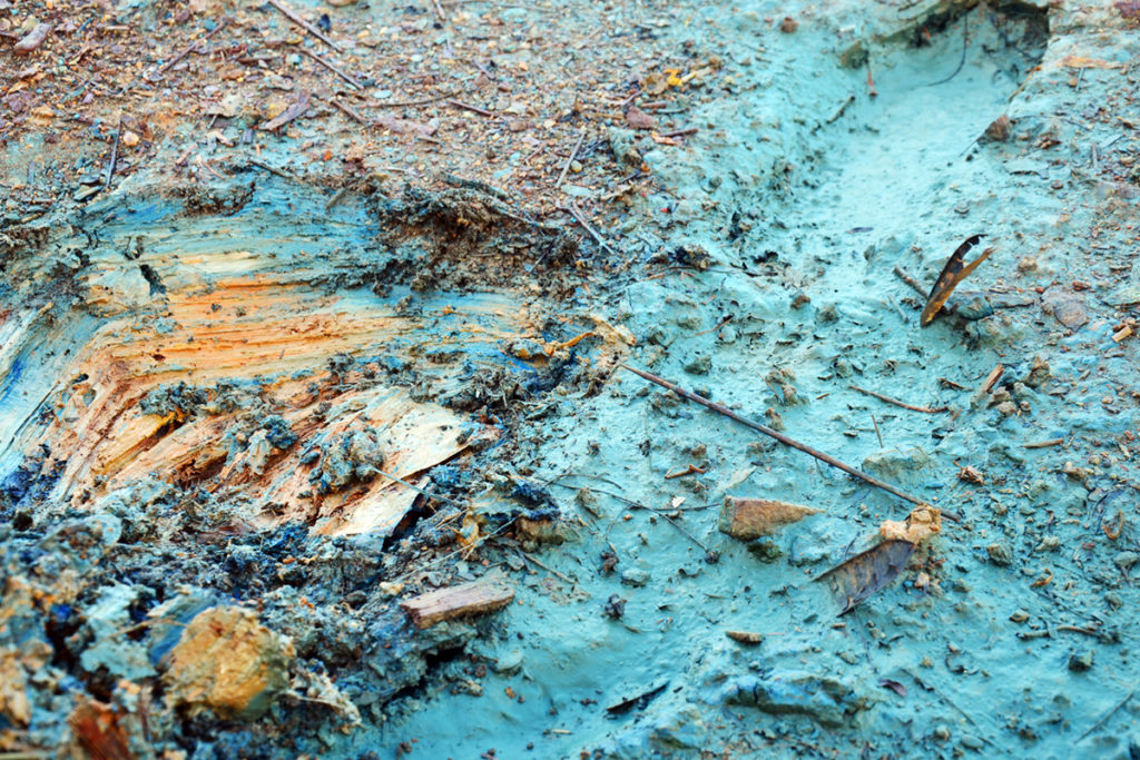 Environmental toxins