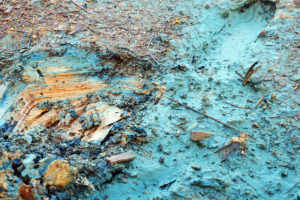 Environmental toxins