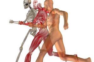 toxic metal mover